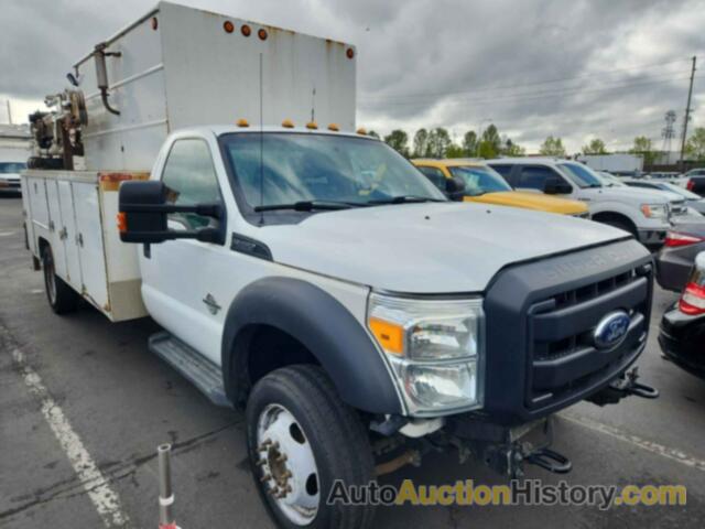FORD F-550 CHASSIS XL, 1FDUF5HT6CED24049