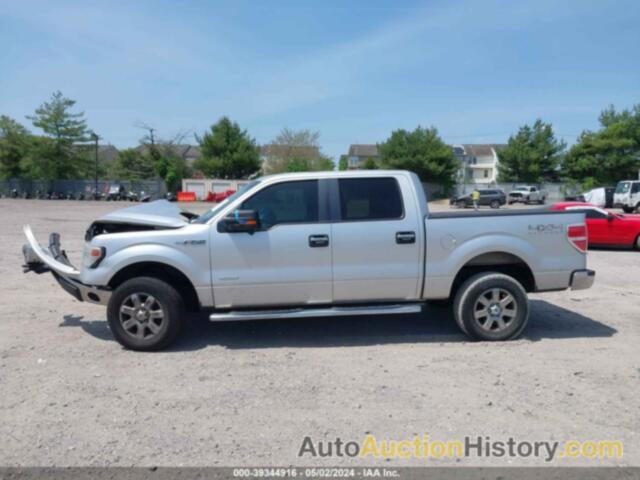 FORD F-150 XLT, 1FTFW1ET8EFC82524