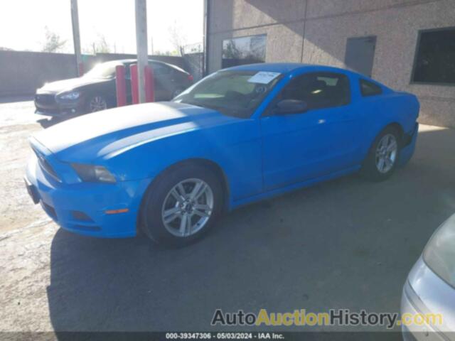 FORD MUSTANG V6, 1ZVBP8AM0D5203237