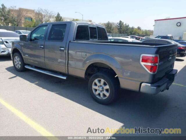 FORD F-150 XLT, 1FTFW1CT5DFD83909