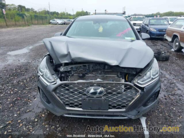 HYUNDAI SONATA SEL, 5NPE34AF5KH815856