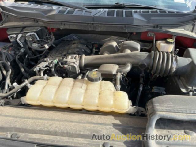 FORD F150, 1FTMF1EB6MKD86210