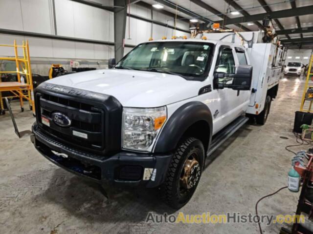 FORD F-550 CHASSIS XL, 1FD0W5HT6CEB11181