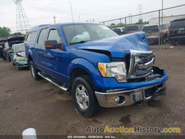FORD F150 SUPERCREW, 1FTEW1E83AFD55574