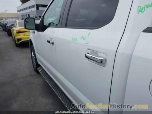 FORD F-150 XLT, 1FTEW1CP9GKF52162