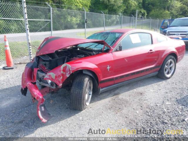 FORD MUSTANG, 1ZVHT80N965237342