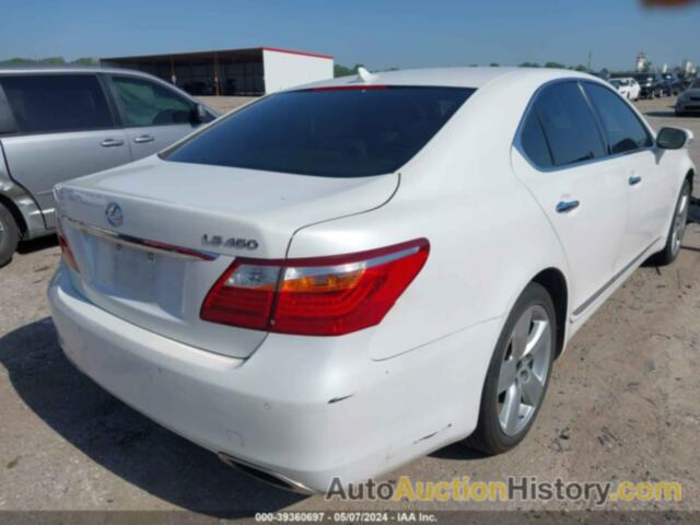 LEXUS LS 460, JTHBL5EFXB5102260