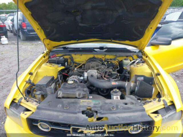 FORD MUSTANG V6, 1ZVFT80NX65101485