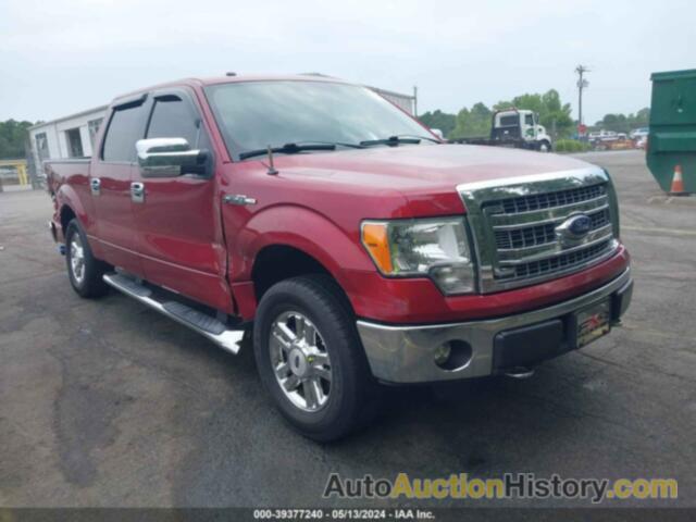 FORD F-150 XLT, 1FTFW1EF9DFC61237