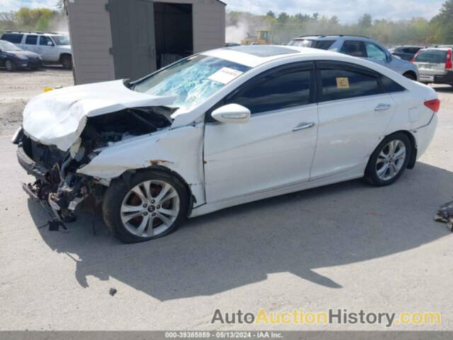 HYUNDAI SONATA LIMITED, 5NPEC4AC7DH595810