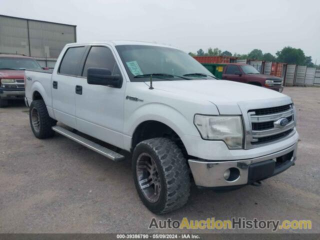 FORD F-150 XLT, 1FTFW1EF1DKE89529