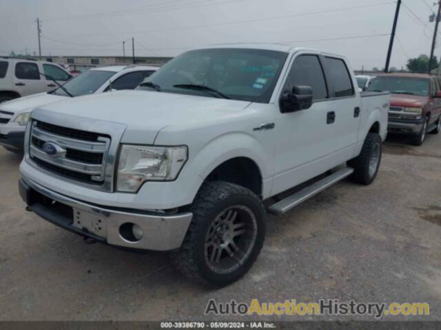 FORD F-150 XLT, 1FTFW1EF1DKE89529