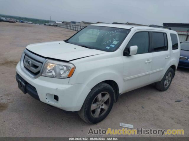 HONDA PILOT EX, 5FNYF3H46BB052456