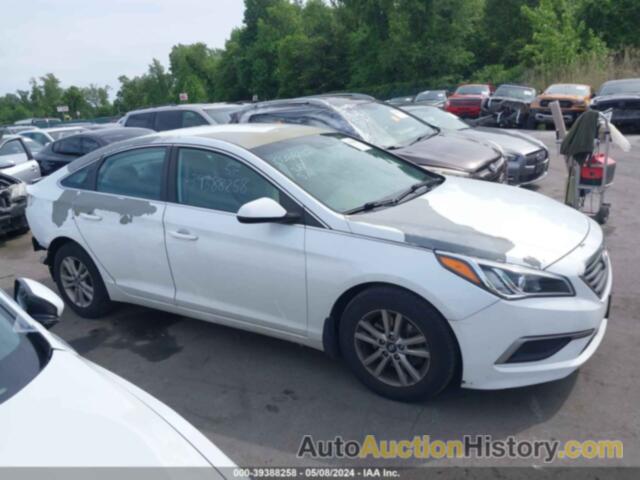 HYUNDAI SONATA SE, 5NPE24AF3HH500517