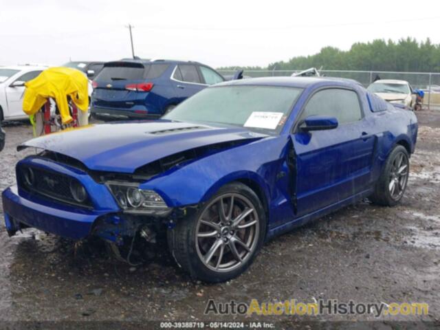 FORD MUSTANG GT, 1ZVBP8CF4D5240466