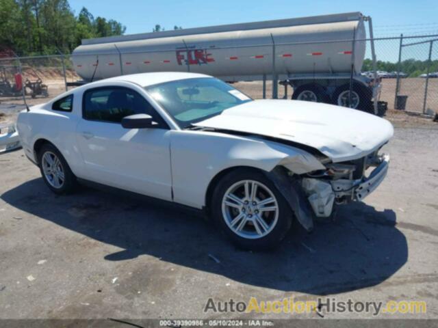 FORD MUSTANG V6/V6 PREMIUM, 1ZVBP8AN2A5158869