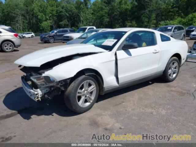 FORD MUSTANG V6/V6 PREMIUM, 1ZVBP8AN2A5158869