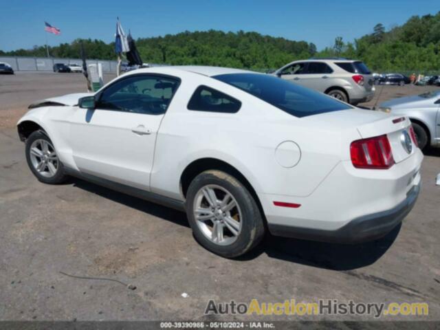 FORD MUSTANG V6/V6 PREMIUM, 1ZVBP8AN2A5158869