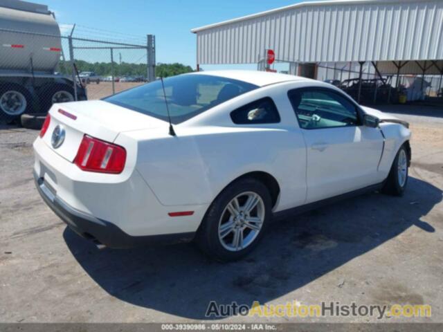 FORD MUSTANG V6/V6 PREMIUM, 1ZVBP8AN2A5158869