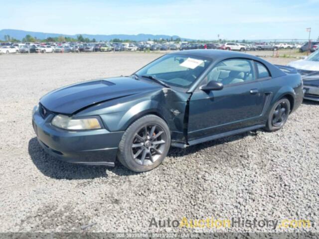 FORD MUSTANG, 1FAFP4043XF105256