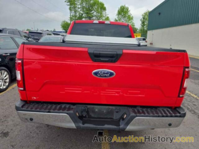 FORD F-150 XL, 1FTMF1CB6LKD53306