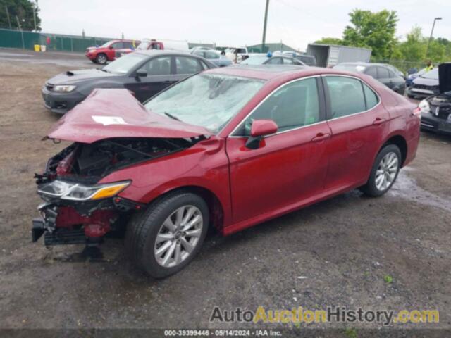 TOYOTA CAMRY L/LE/XLE/SE/XSE, 4T1B11HK1KU250162