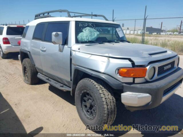 TOYOTA FJ CRUISER, JTEBU11F870012182