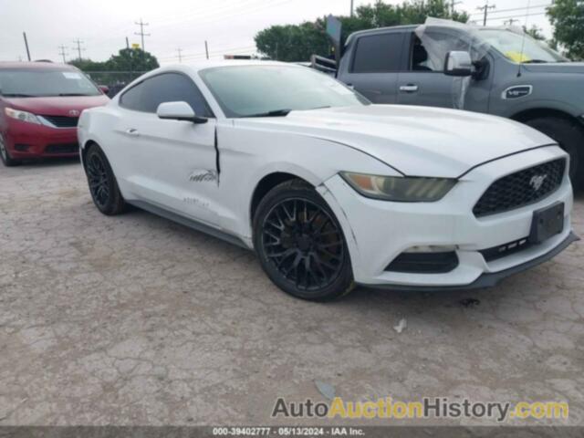 FORD MUSTANG, 1FA6P8AM1G5252364