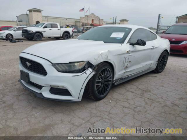 FORD MUSTANG, 1FA6P8AM1G5252364