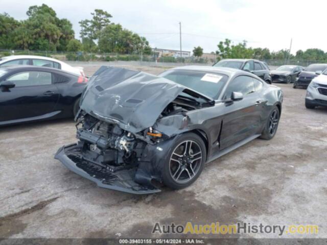 FORD MUSTANG, 1FA6P8TH2L5191486