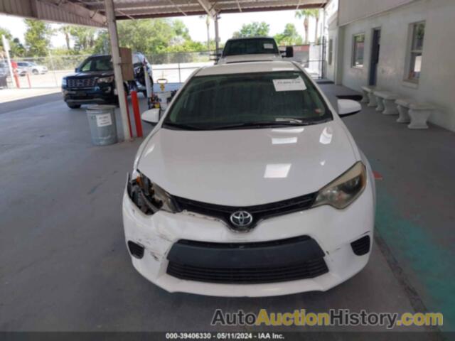 TOYOTA COROLLA L/LE/LE PLS/PRM/S/S PLS, 2T1BURHEXGC731889