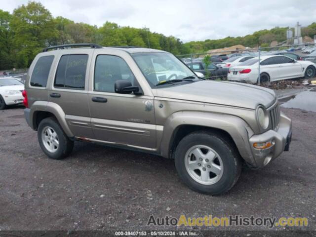 JEEP LIBERTY LIMITED EDITION, 1J4GL58K13W600398