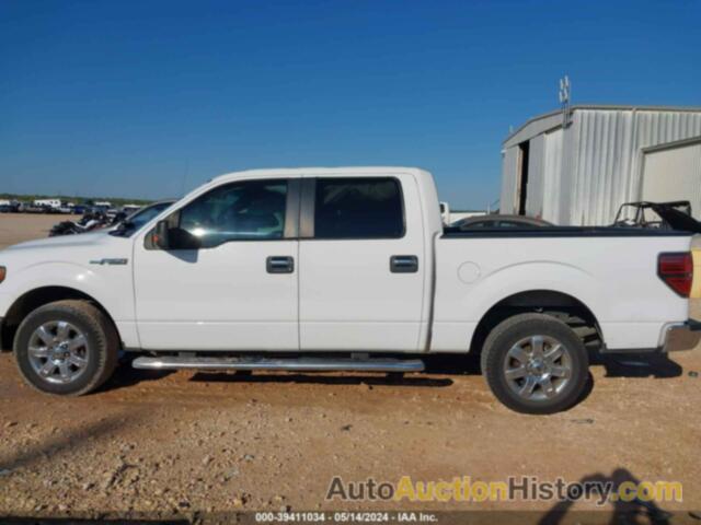 FORD F150 SUPERCREW, 1FTFW1CFXEFC09796