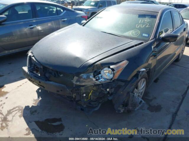 HONDA ACCORD EXL, 1HGCP2F84CA113662