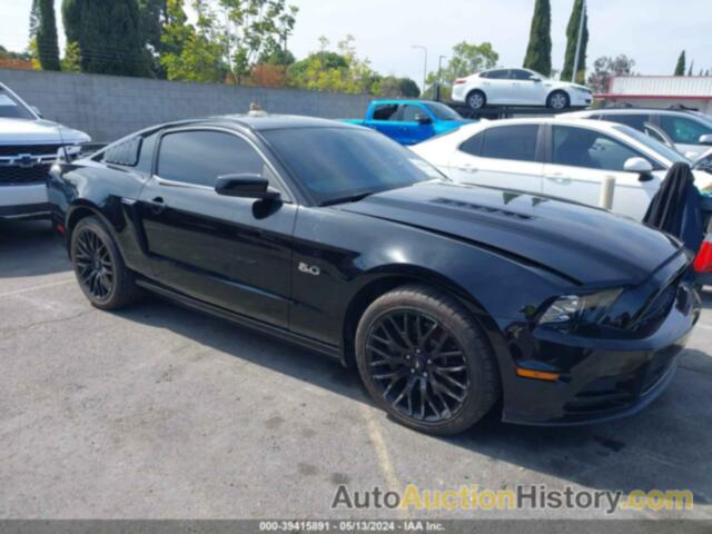 FORD MUSTANG GT PREMIUM, 1ZVBP8CF3E5203572