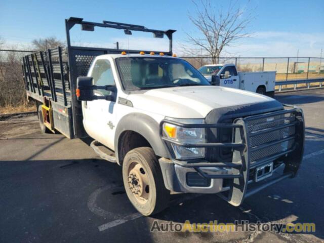 FORD F-550 CHASSIS XL, 1FDUF5GT4GED28110