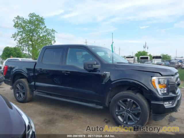 FORD F-150 XLT, 1FTEW1EP8PKD11268