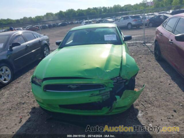 FORD MUSTANG, 1ZVBP8AM4E5203775