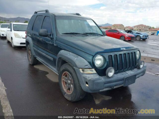 JEEP LIBERTY RENEGADE, 1J4GK38K15W526930