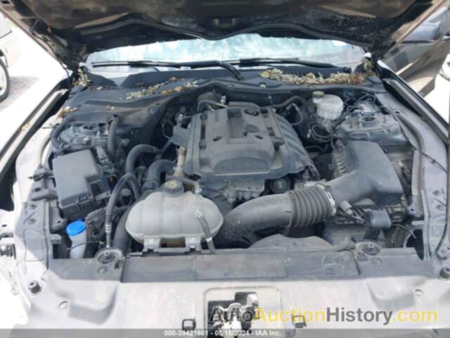 FORD MUSTANG, 1FA6P8TH0L5189509
