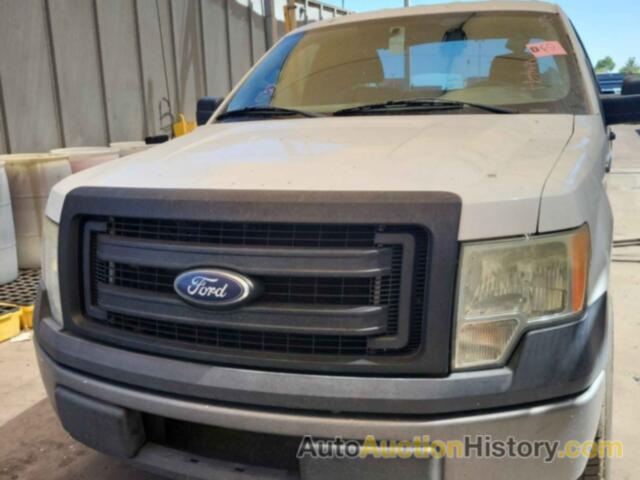 FORD F-150 XL, 1FTMF1CM8DFC95453