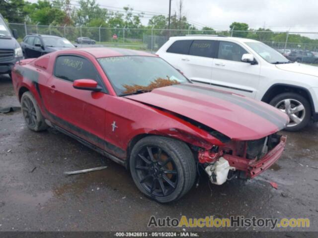 FORD MUSTANG, 1ZVBP8AN4A5166634