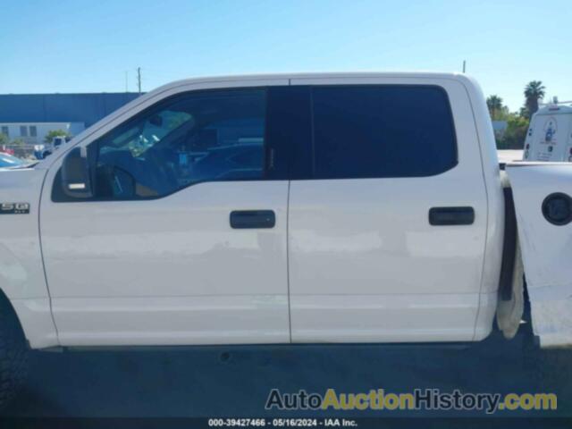 FORD F-150 XLT, 1FTEW1EP2FKF23307