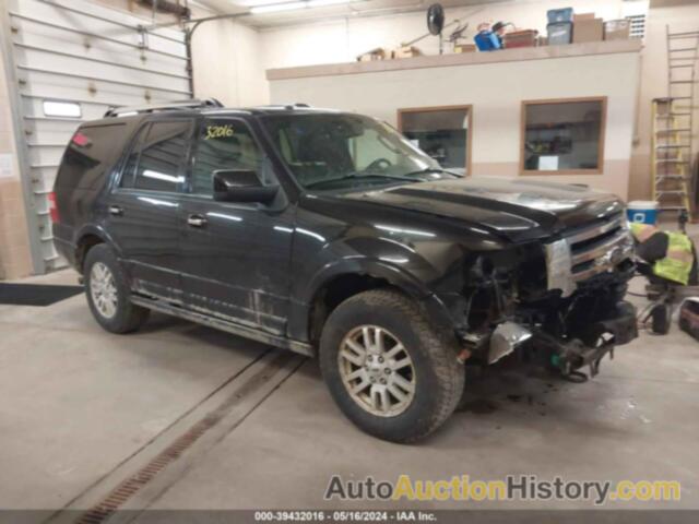 FORD EXPEDITION LIMITED, 1FMJU2A53DEF02021