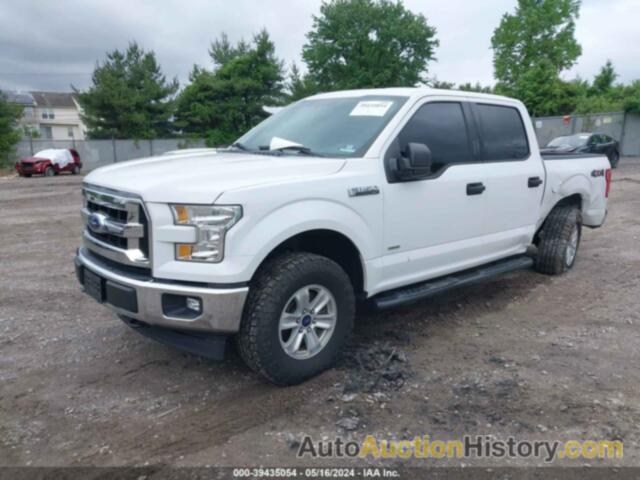 FORD F-150 XLT, 1FTEW1EGXHFB67393