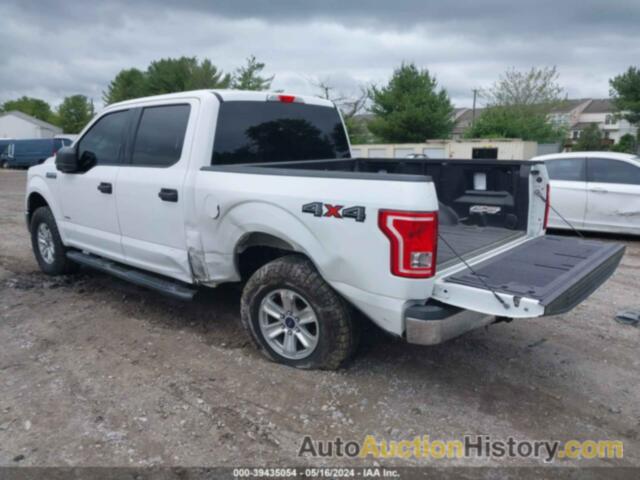 FORD F-150 XLT, 1FTEW1EGXHFB67393