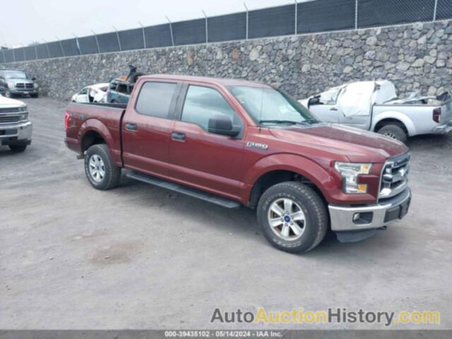 FORD F-150 XLT, 1FTEW1EF9FKD37285