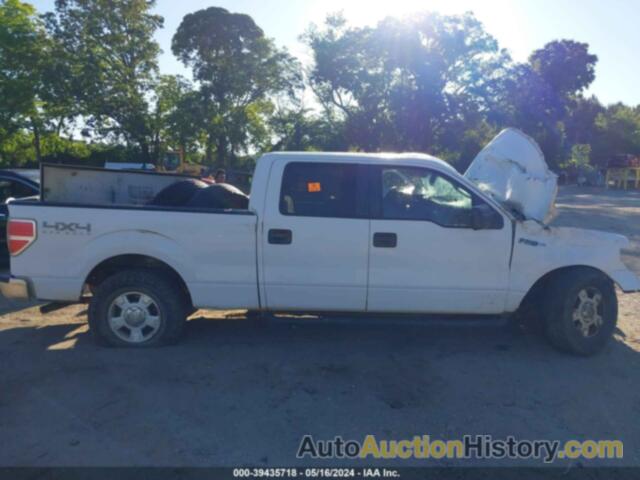 FORD F150 SUPERCREW, 1FTFW1EF1CFC29445