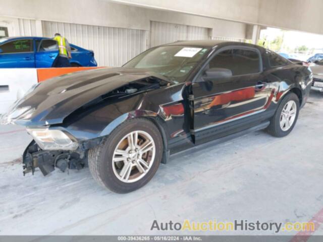 FORD MUSTANG, 1ZVBP8AM9C5205020