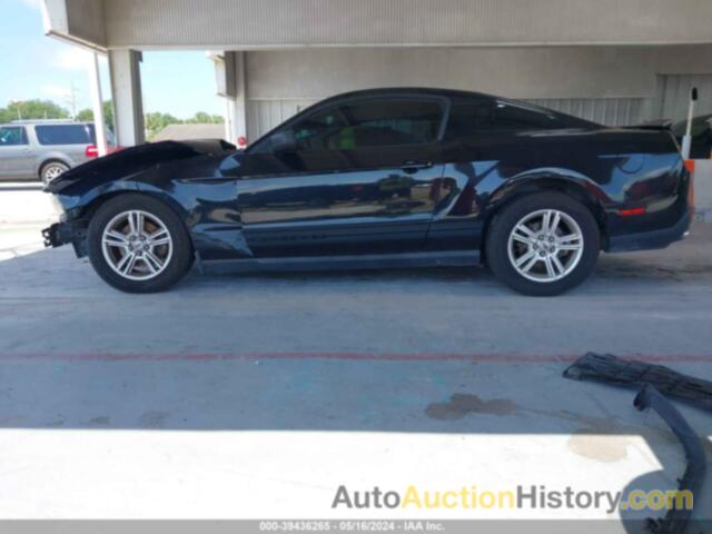 FORD MUSTANG, 1ZVBP8AM9C5205020